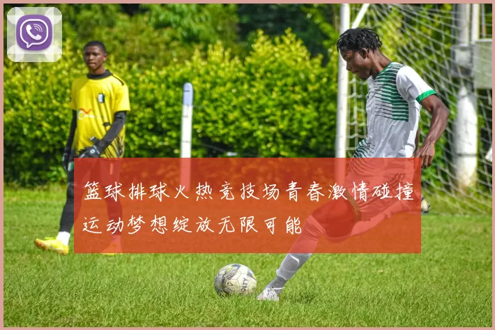 篮球排球火热竞技场青春激情碰撞运动梦想绽放无限可能