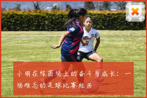 小明在绿茵场上的奋斗与成长：一场难忘的足球比赛经历