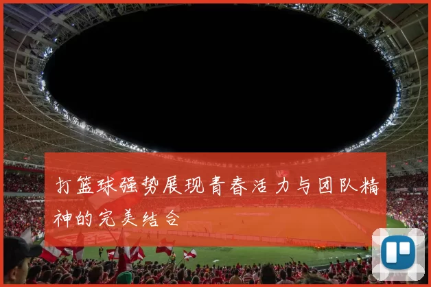 打篮球强势展现青春活力与团队精神的完美结合